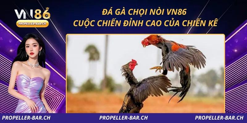 Đá Gà Chọi Nòi VN86 – Cuộc Chiến Đỉnh Cao Của Chiến Kê