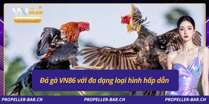 Đá gà VN86 với đa dạng loại hình hấp dẫn