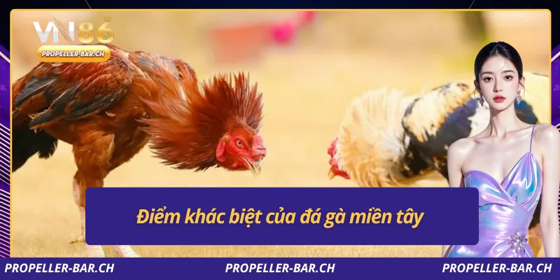 Điểm khác biệt của đá gà miền tây