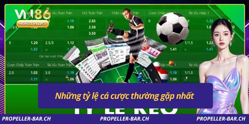 Những tỷ lệ cá cược thường gặp nhất