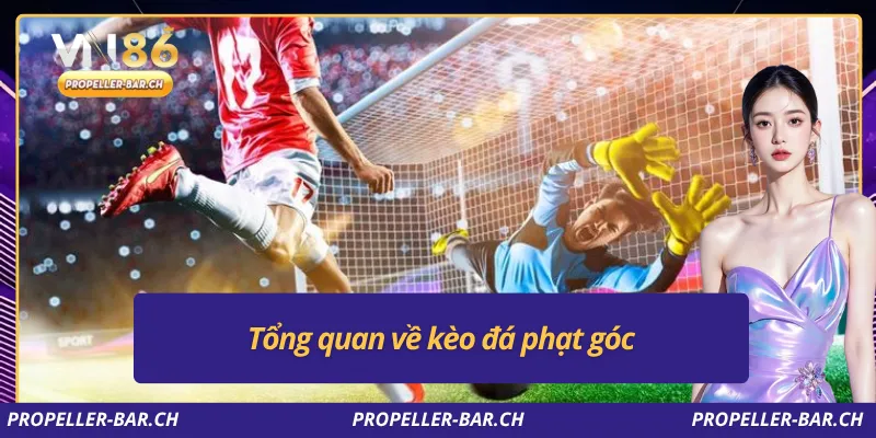 Tổng quan về kèo đá phạt góc